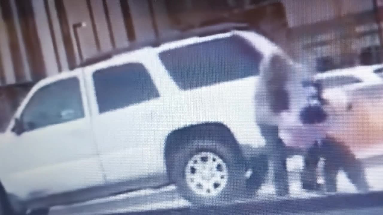 Block a car and you might just get punched.*CAUTION; VIOLENT CONTENT
