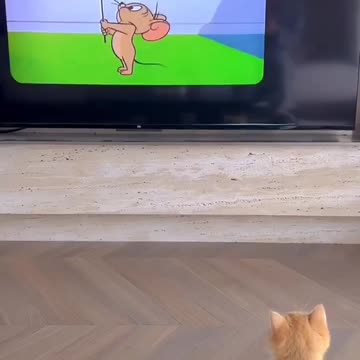 We all have done this 🤣