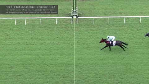 Horse_Race_2022060503_Chinese