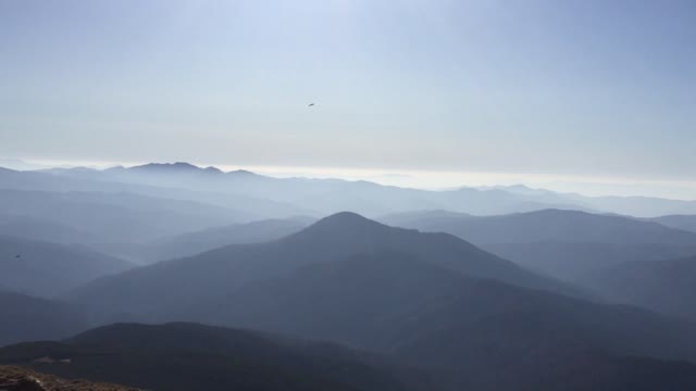 Mountain view covered in fog