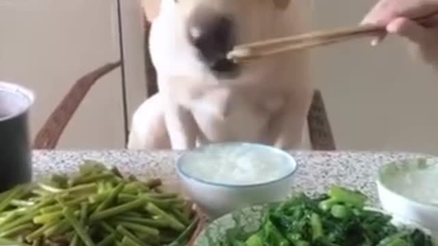 Eat, brother