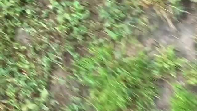 Collab copyright protection - white shirt dirt bike wheelie road