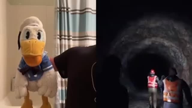 Donald Duck is too afraid