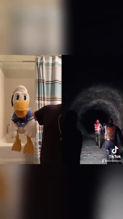 Donald Duck is too afraid