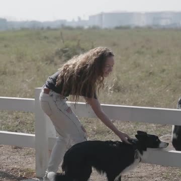 Baby Dogs - Cute and Funny Dog Videos Compilation #25 | Aww Animals