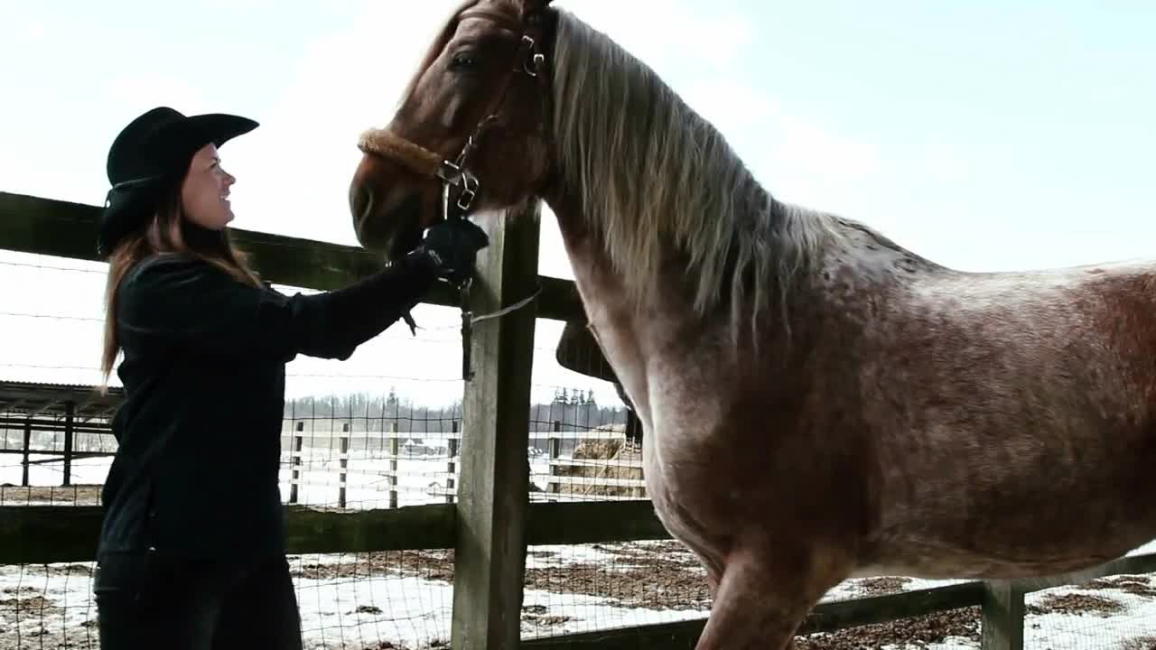 girl cowboy stroking horse