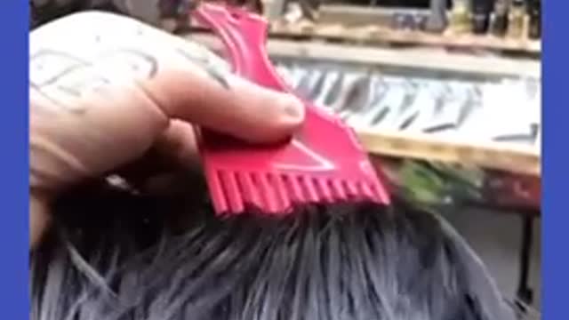 Funny animals videos. cats and dogs fails.