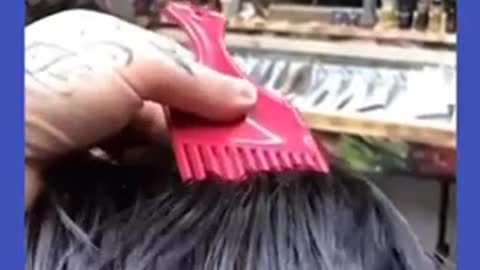 Funny animals videos. cats and dogs fails.