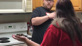 Man is Not Fond of Tarantula Shed