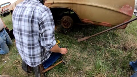 Bring home some field fresh 1967 Chevy Novas Part 1 (Gold)