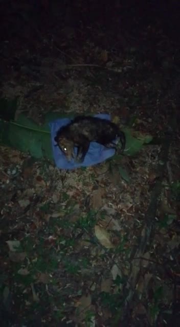 Piden controle Parque La Flora