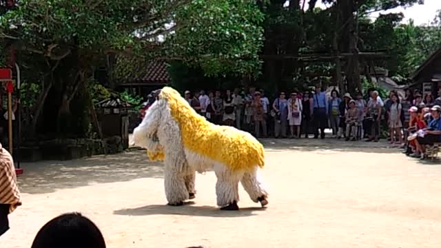 Performing in Okinawa wearing a lion mask dance