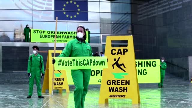 Greenpeace throws paint at EU parliament