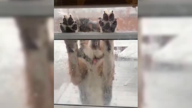 It's snowing and cold