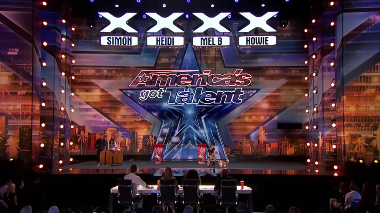 America's got talent / cat