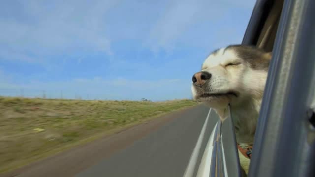 eal News with Lucretia Hughes - Where are the Children Goin and More... - Episode #1191