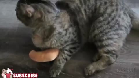 don't try to touch my croissant_batch