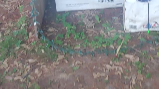 Compound bow target practice