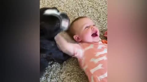 Puppy having fun with the baby, so cute