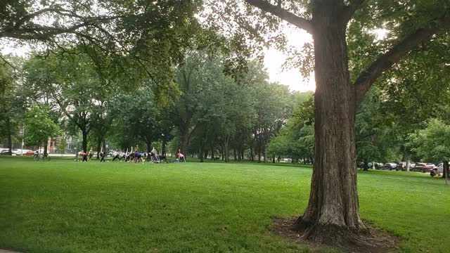 Yoga in Palmer Square in Chicago 7/20/21