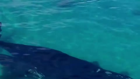 Esperance, Western Australia🇦🇺