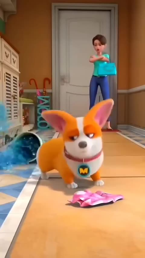 मोको funny video 😻#shorts #short #viral #funny #trending