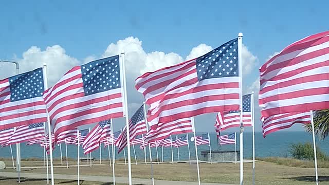 Veterans flag tribute