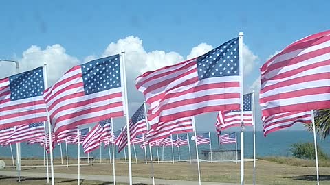 Veterans flag tribute