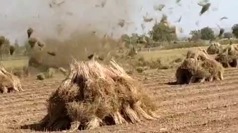 Tornado in farm