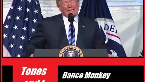 keinschlafschaf#001.dance.monkey.donald.trump.cover