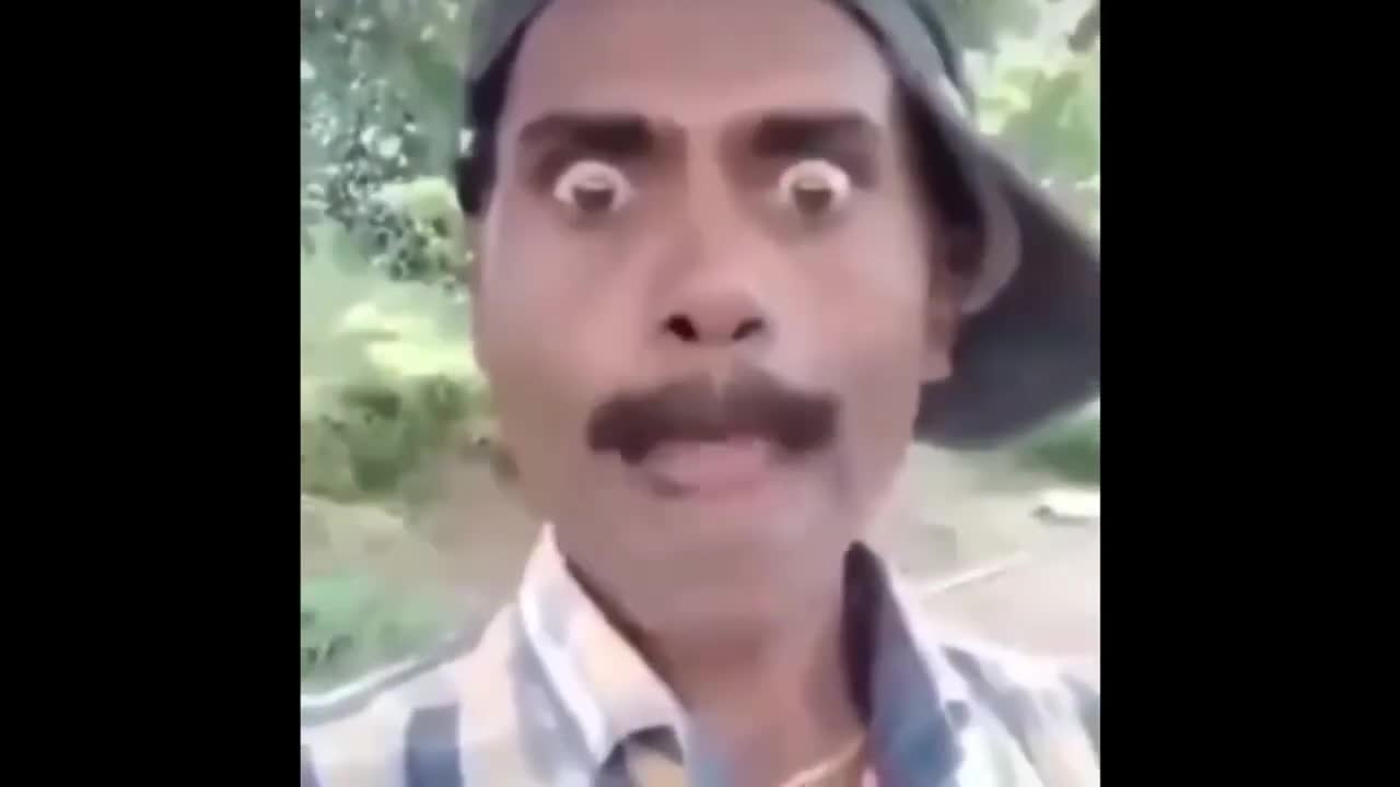 Indian man speaks Plant Vs Zombies Victory theme