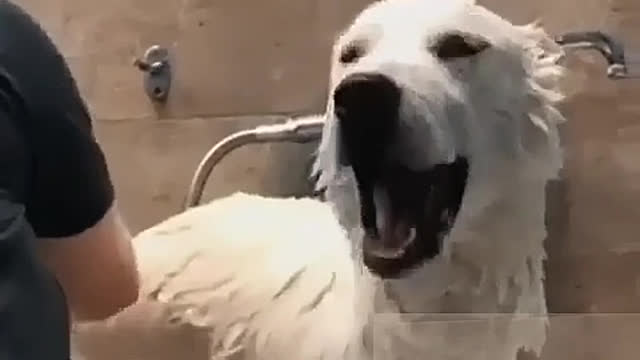 Take a shower