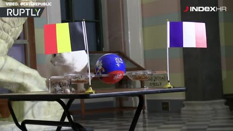 Mačak predvidio Belgiju kao budućeg finalista SP-a