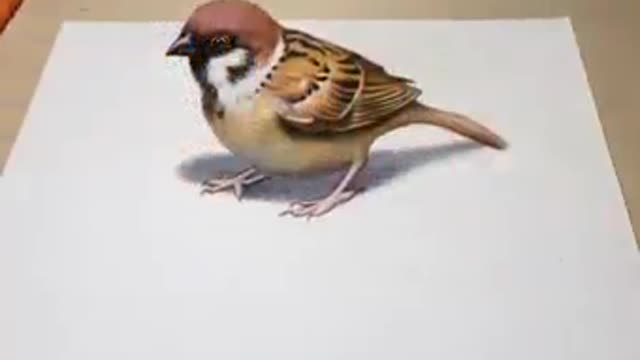 3D drawing of a bird