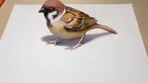3D drawing of a bird