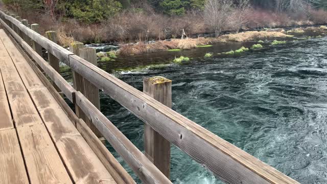 Bridge Views of Mighty Metolius River – Central Oregon