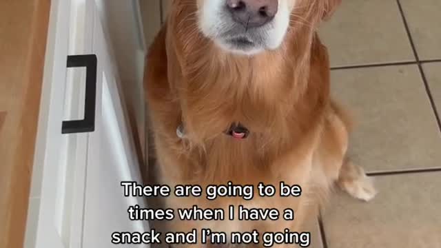 I mean that face