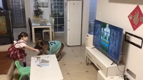 Dad is back, don't watch TV to do your homework. Dogs are children's buddies