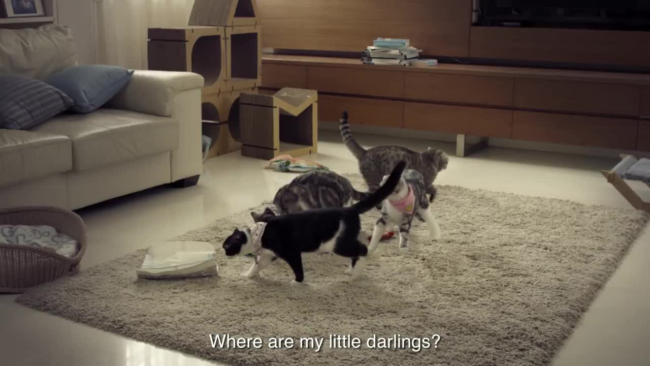 Company Employed Gangster Cats For Their Commercial. It’s The Funniest Thing You’ve Ever Seen