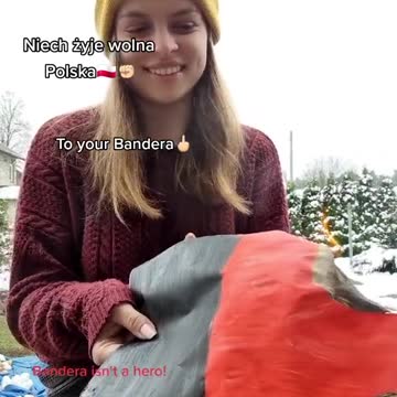 nazi- bandera palić