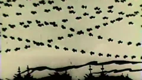 Terrytoons - 1933x09 - Pirate Ship