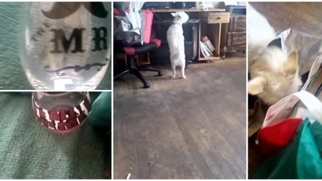 today video