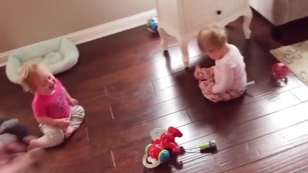 Fun is made with Babies and cats doing a lot, Babies with kittens