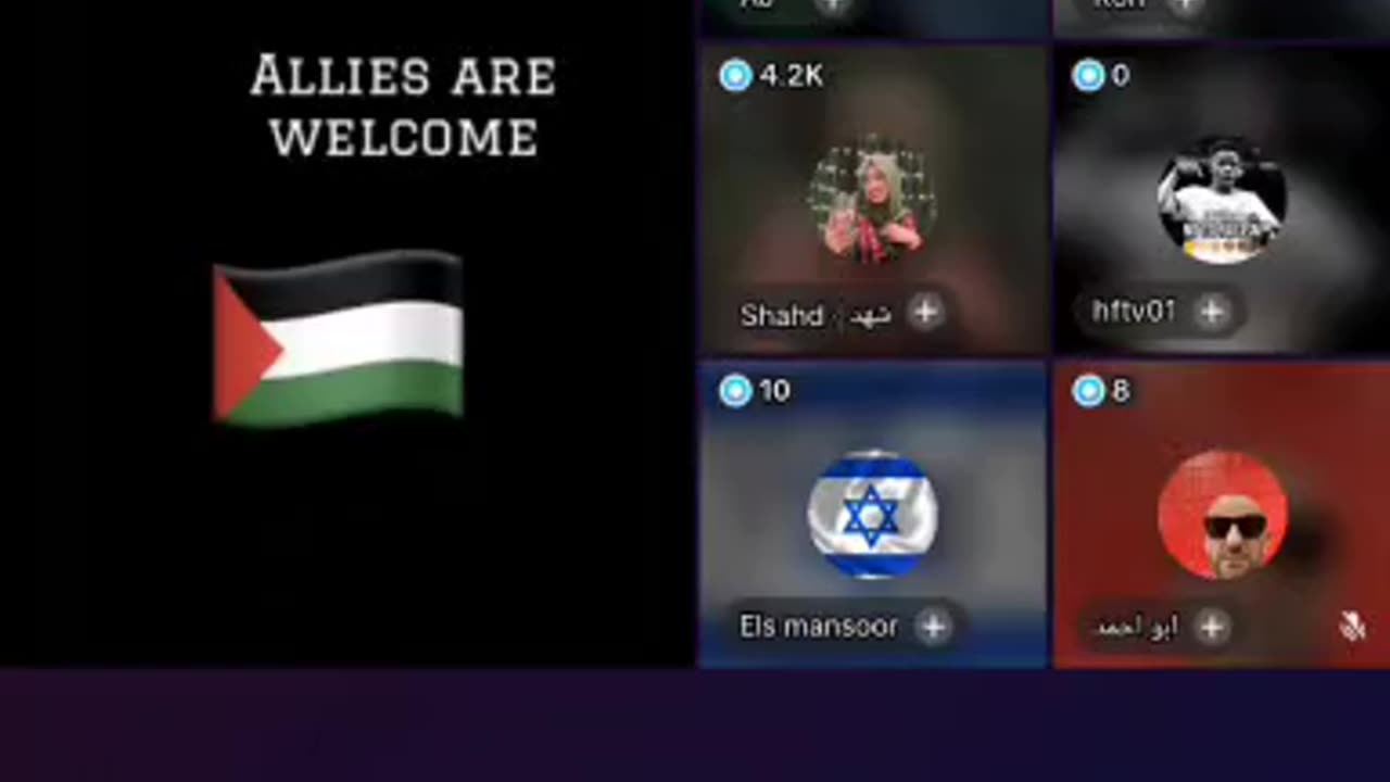 Palestinians and Israelis go back and forth on TicTok