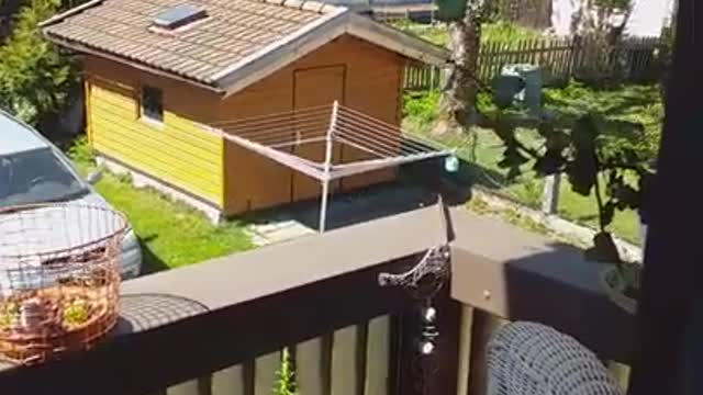 22.04.2021 Opferfick in Bayern - Wäschehexe Nutzungsrechtsentzug durch Hausmeisterehepaar Tereschenko