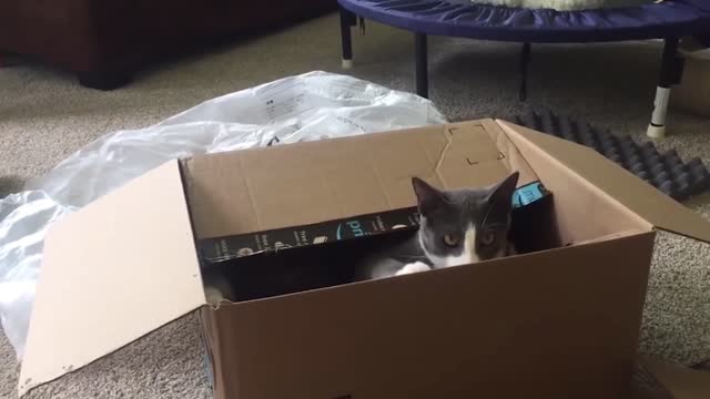 😵​😵​😵​ you can't find me in my little box