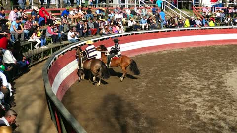 Rodeo show in Chile