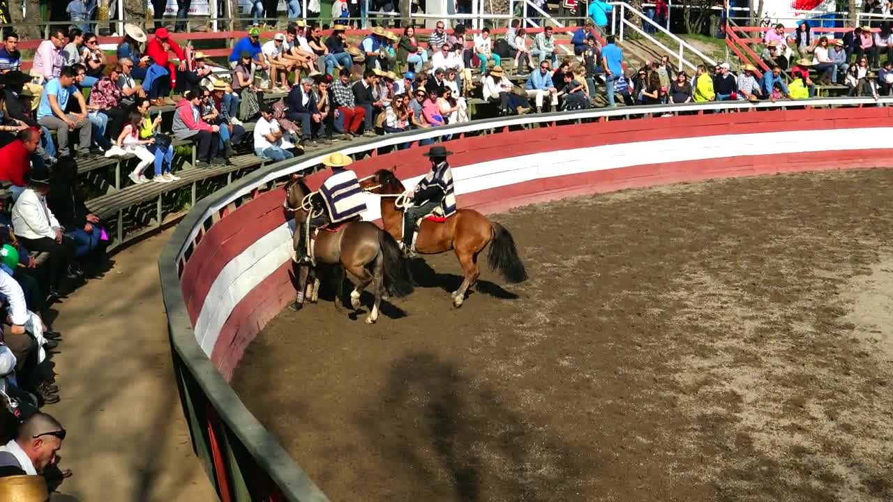 Rodeo show in Chile