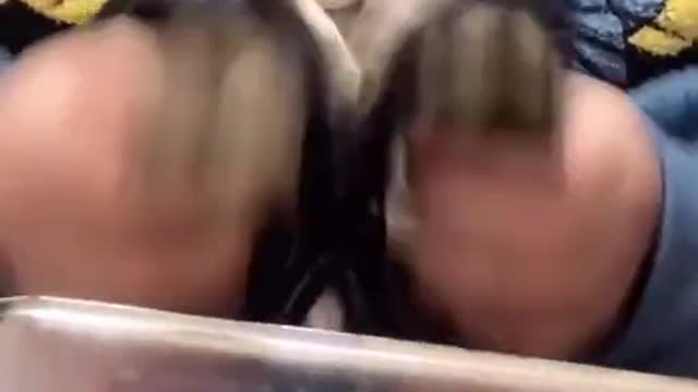 Funniest Animals Real - Best Of The 2021 Funny Animals Videos - Try Not To Laugh