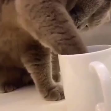 See if you like the same thing